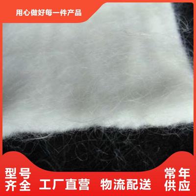 長絲復合土工布 現(xiàn)代工程中的多功能防護衛(wèi)士